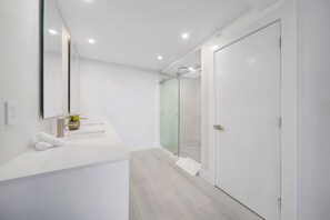 Chuveiro, secador de cabelo, toalhas de banho, shampoo
