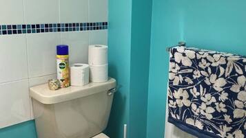 Secador de pelo, toallas, jabón y champú