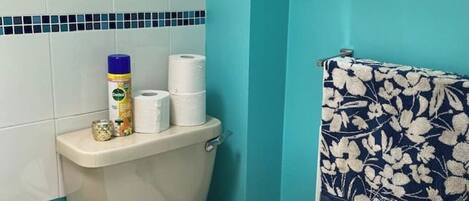 Hair dryer, towels, soap, shampoo