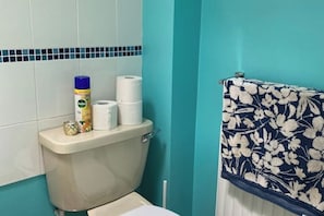 Haartrockner, Handtücher, Seife, Shampoo