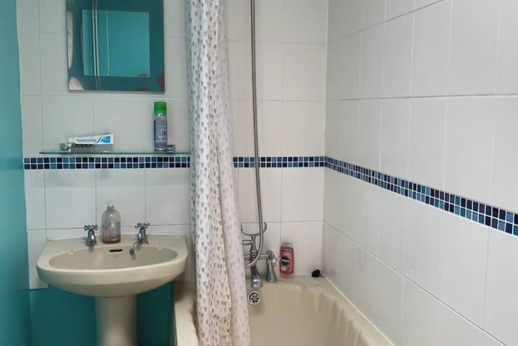 Hiustenkuivaaja, pyyhkeet, saippua, sampoo