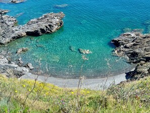 Eine Küstenlandschaft mit klarem, blauem Wasser, Felsformationen und Wildblumen.