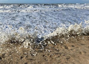 Leilighet | Utsikt fra overnattingsstedet