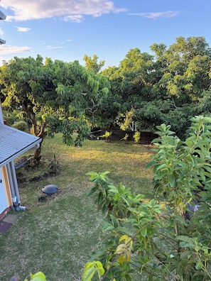 A garden with various trees and shrubs, a small pond, and a building with a sloped roof.