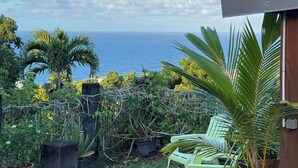 Un patio con vista sull'oceano, sedie verdi e piante in vaso.