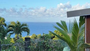 A patio with a view of the ocean, green chairs, and potted plants.