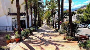 House | Property grounds