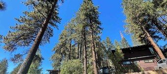 Cozy Tahoe Suite