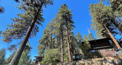 Cozy Tahoe Suite Summ