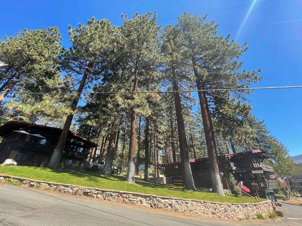 Eine Lodge mit einer Steismauer, umgeben von hohen Kiefern.