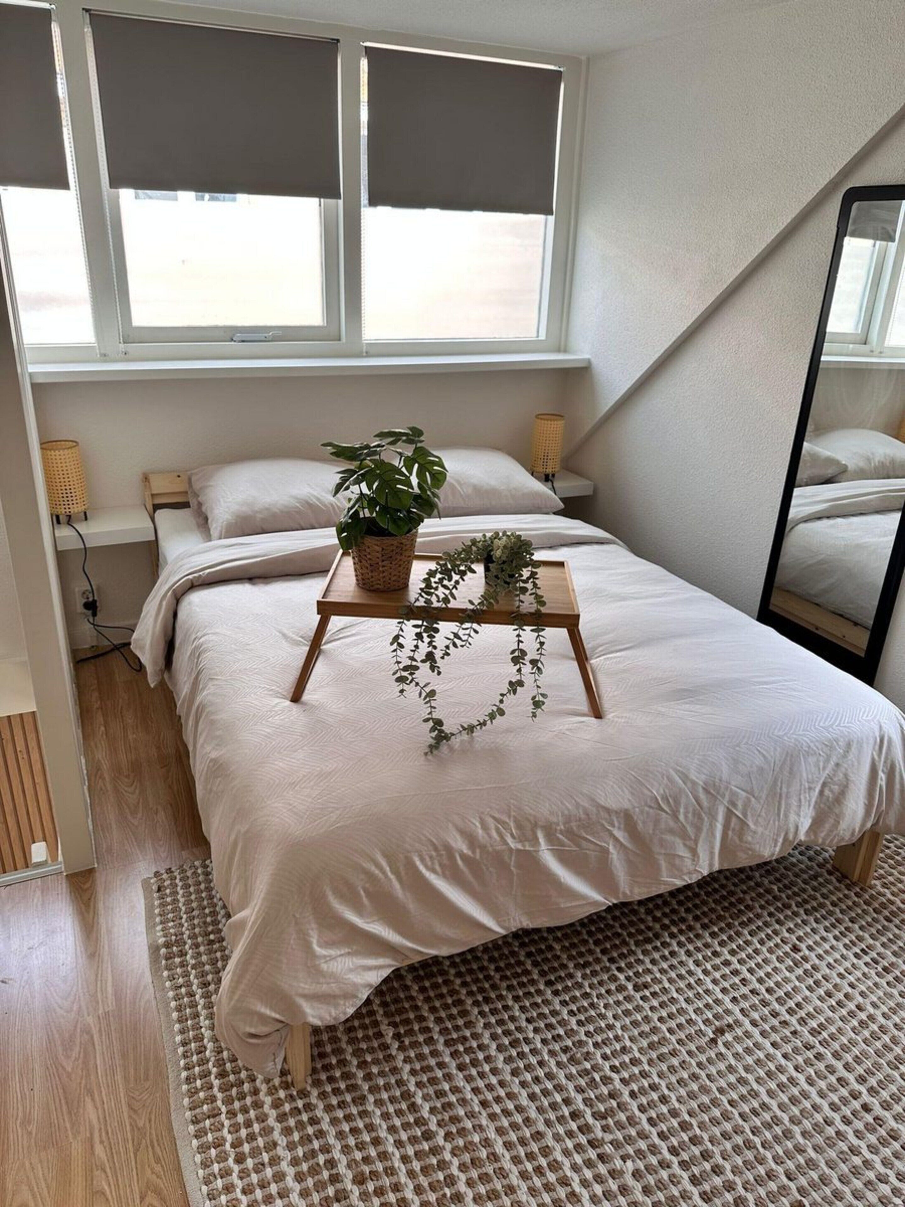 A bedroom with a bed, a bedside table, a lamp, a window with blinds, a potted plant, and a mirror.