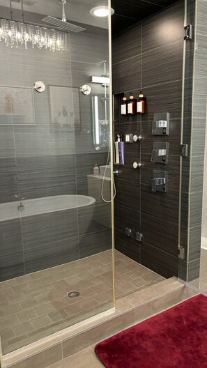 Regadera, secadora de cabello, toallas, jabón 