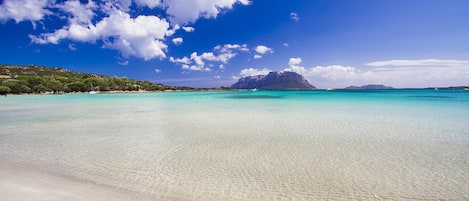 Appartement | Vue depuis l’hébergement