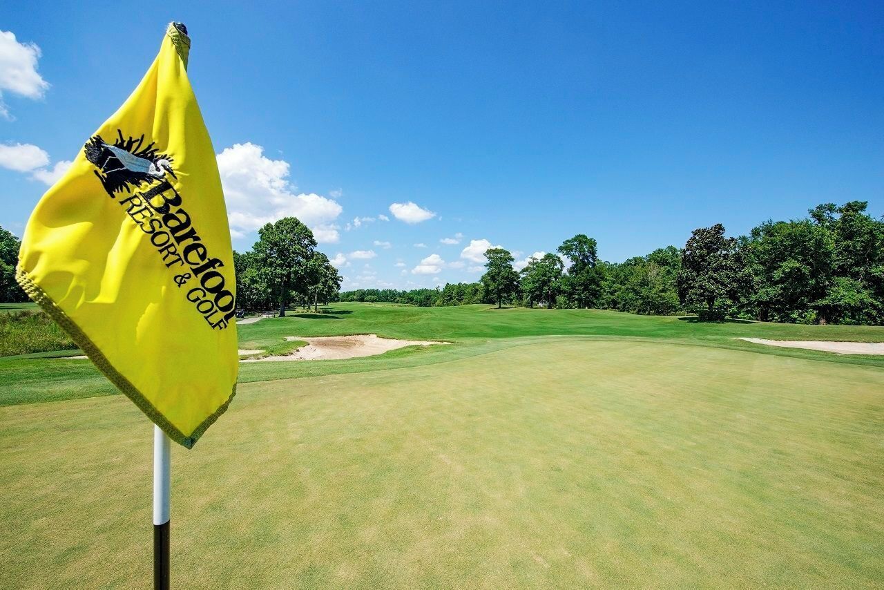 Una bandiera da golf su un palo, con un cielo sereno e un campo da golf sullo sfondo.