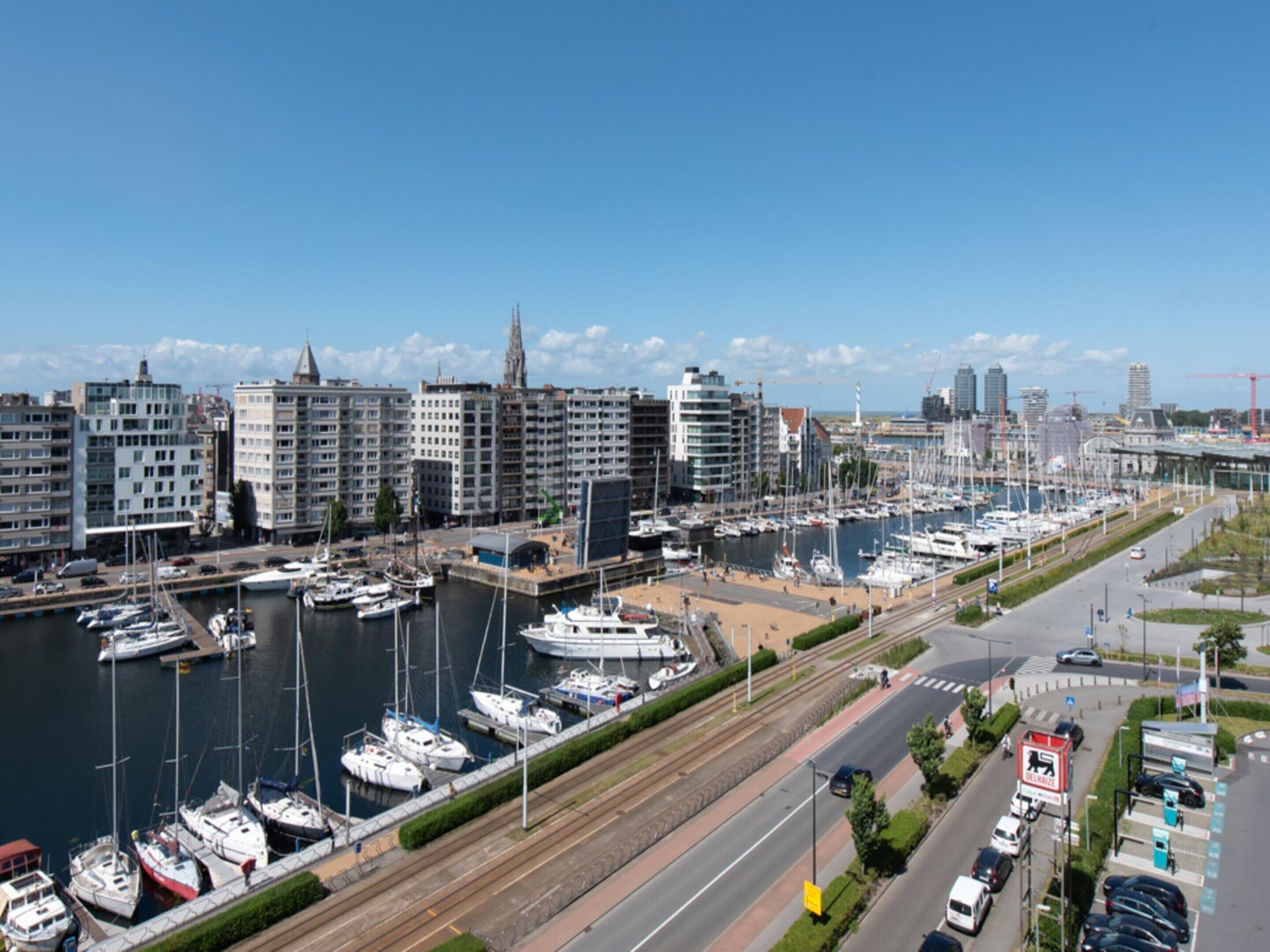 A marina with boats docked, a road with cars, and buildings in the background.