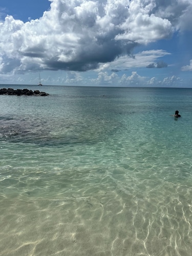 Lou Lou's Hideaway – A Peaceful Cozy Retreat on Barbados' Platinum Coast