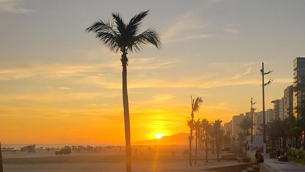 A beach scene with a palm tree silhouetted against a sunset, sandy beach, and buildings in the background. - Apartment in KAZAPAZ GUILHERMINA, 73m². Plenty of shops nearby. (Guilhermina Praia Grande)