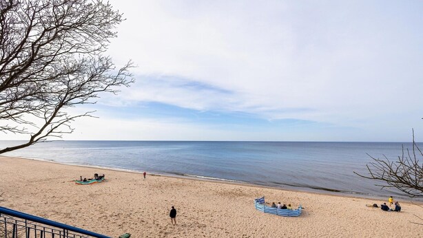 Ein Strand mit freiem Blick auf das Meer, einem sandigen Ufer und einem Baum im Vordergrund.