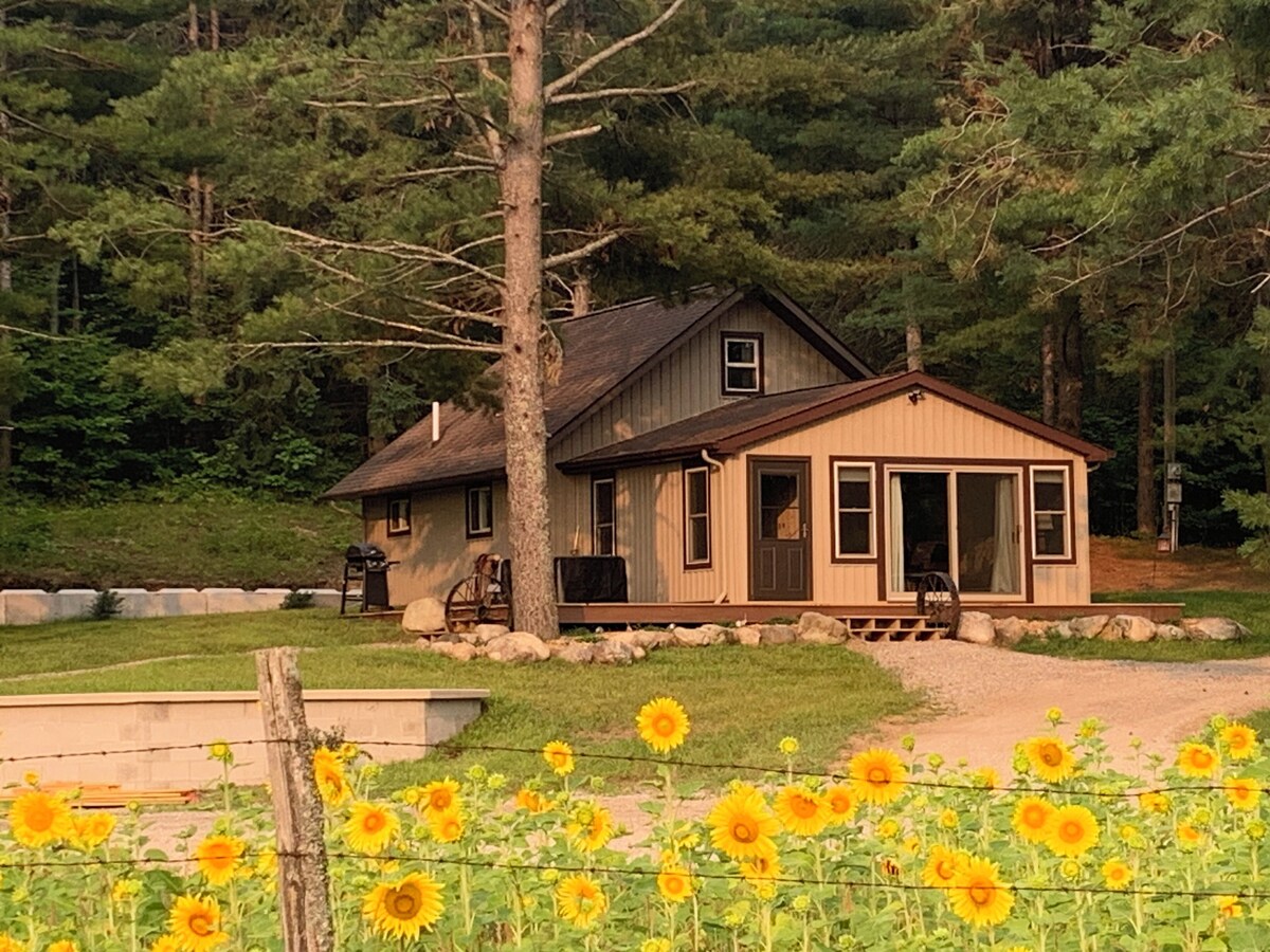 Immagine del profilo dell’host