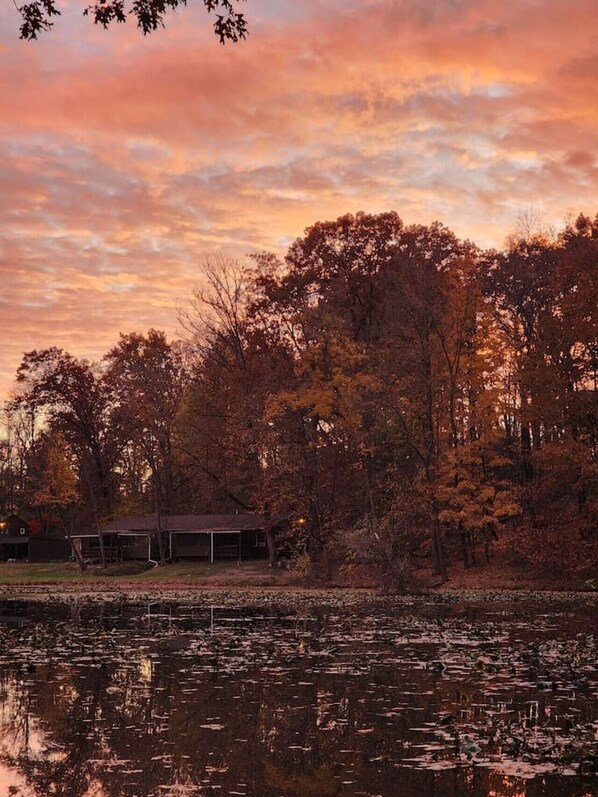 A lakeside view with a cabin and dense trees reflecting on the water.