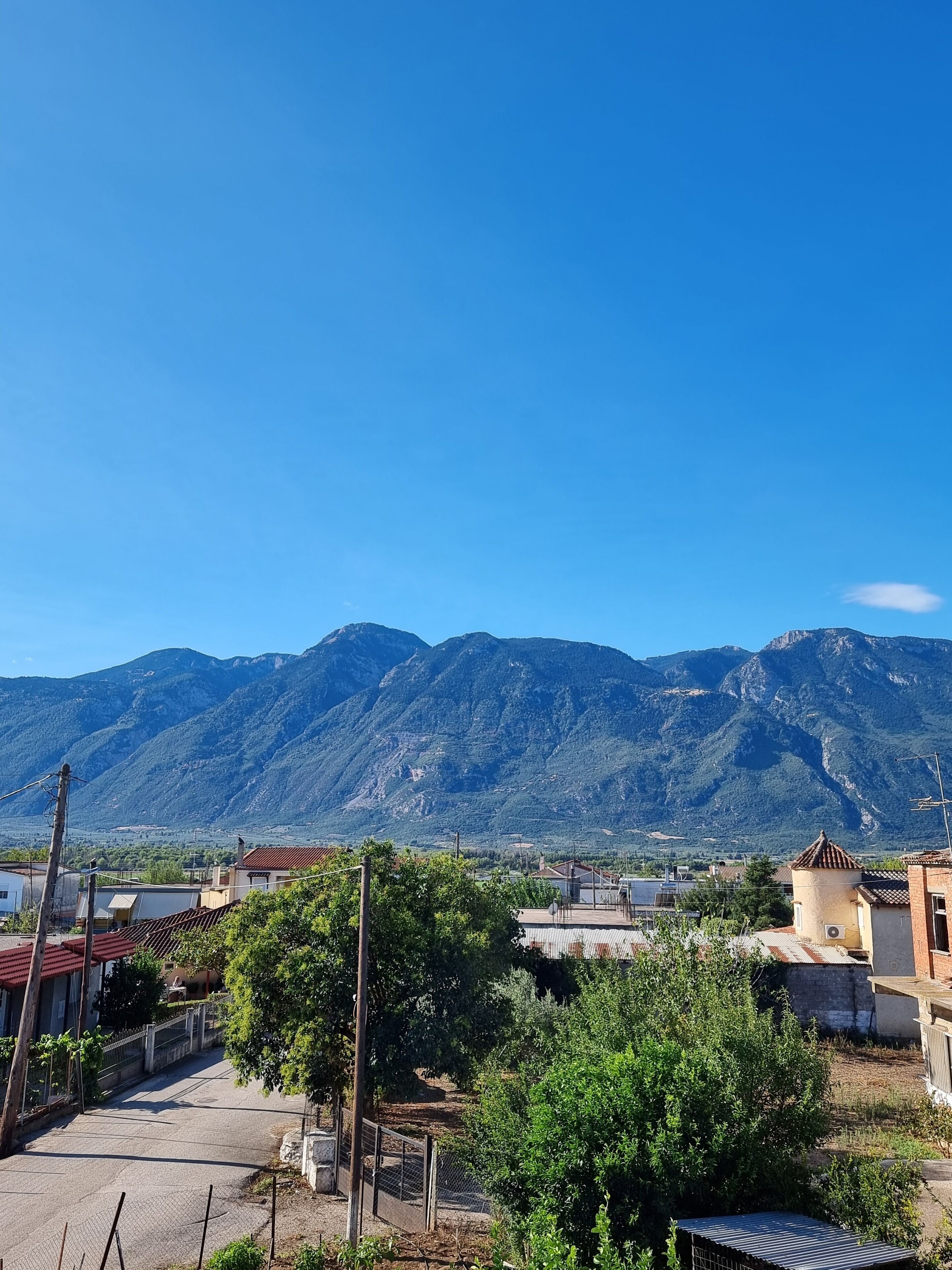 A residential area with houses, a fenced yard, and mountains in the background.