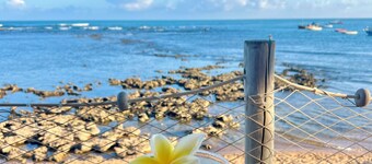 New gourmet house with sea view next to the castle 