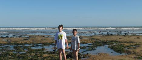 Playa