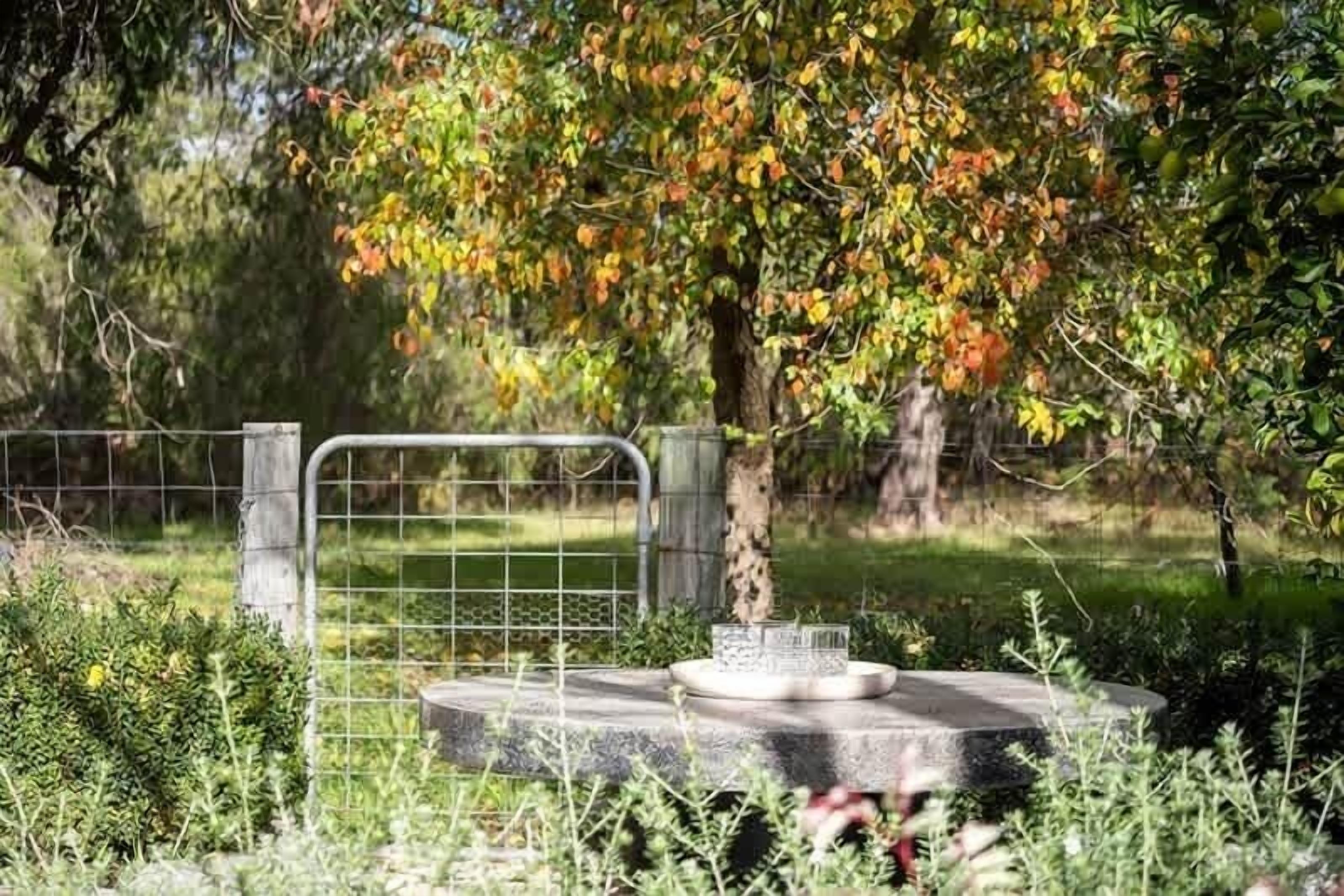 Un jardin clos, agrémenté d’une structure en béton, peut-être une fontaine ou une sculpture, et entouré de verdure et d’arbres.