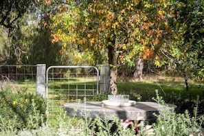 Ein von einer Hecke umgebener Gartenbereich mit einer Betonkonstruktion, möglicherweise einer Fontäne oder Skulptur, umgeben von Grünpflanzen und Bäumen.