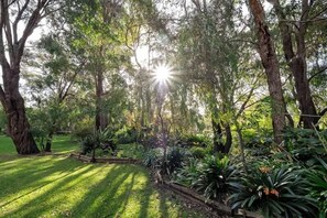 A lush garden with trees, a wooden fence, and a well-maintained lawn.
