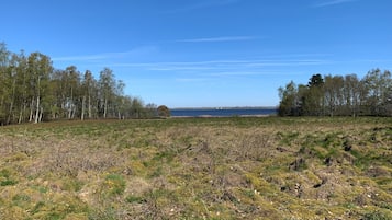 A natural landscape with a body of water, trees, and open grassy fields.
