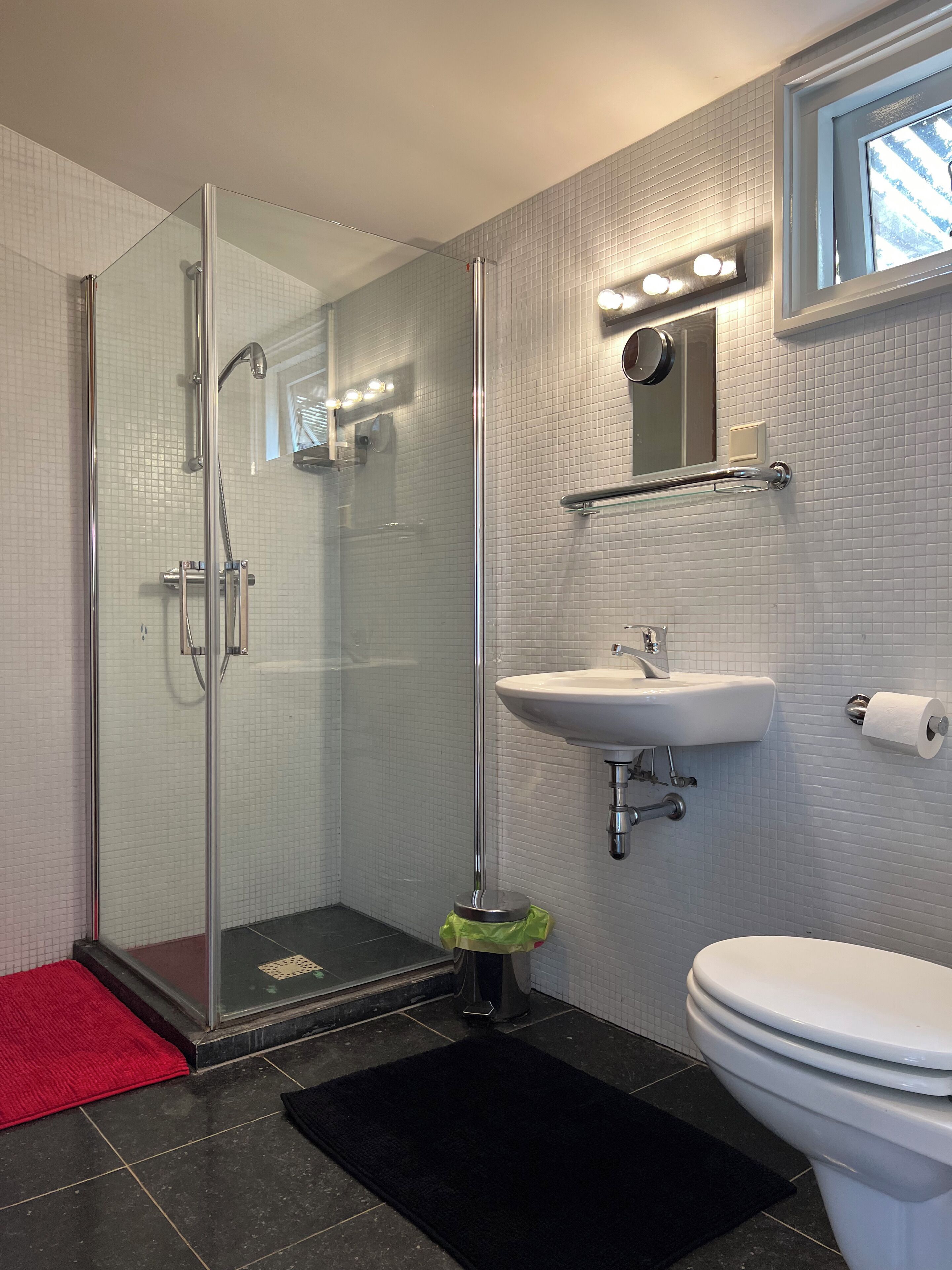 A modern bathroom with a glass-enclosed shower, a white sink, a toilet, and a red bath mat.