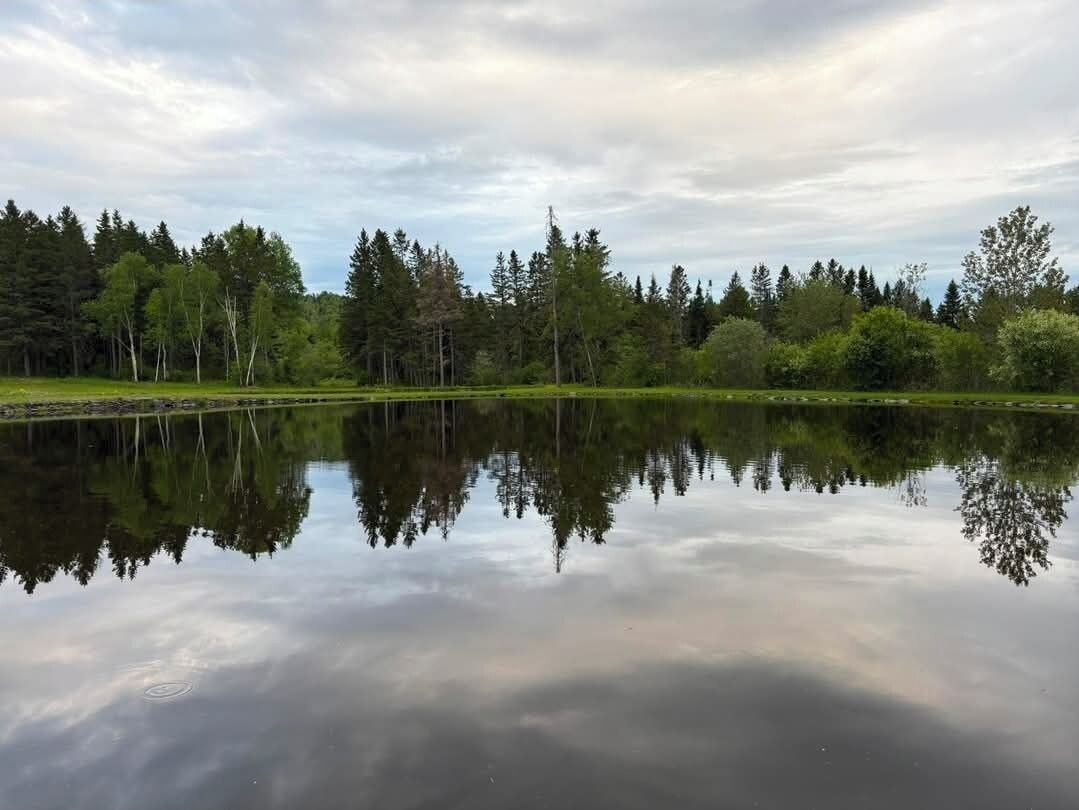 A calm lake with reflections of trees and a cloudy sky.