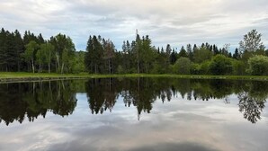 Un lac paisible où se reflètent les arbres et un ciel nuageux.