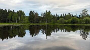 A calm lake with reflections of trees and a cloudy sky.