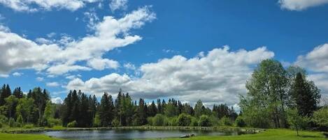 A serene landscape with a lake, lush green grass, and a variety of trees under a partly cloudy sky.