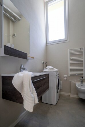 Shower, hair dryer, bidet, towels
