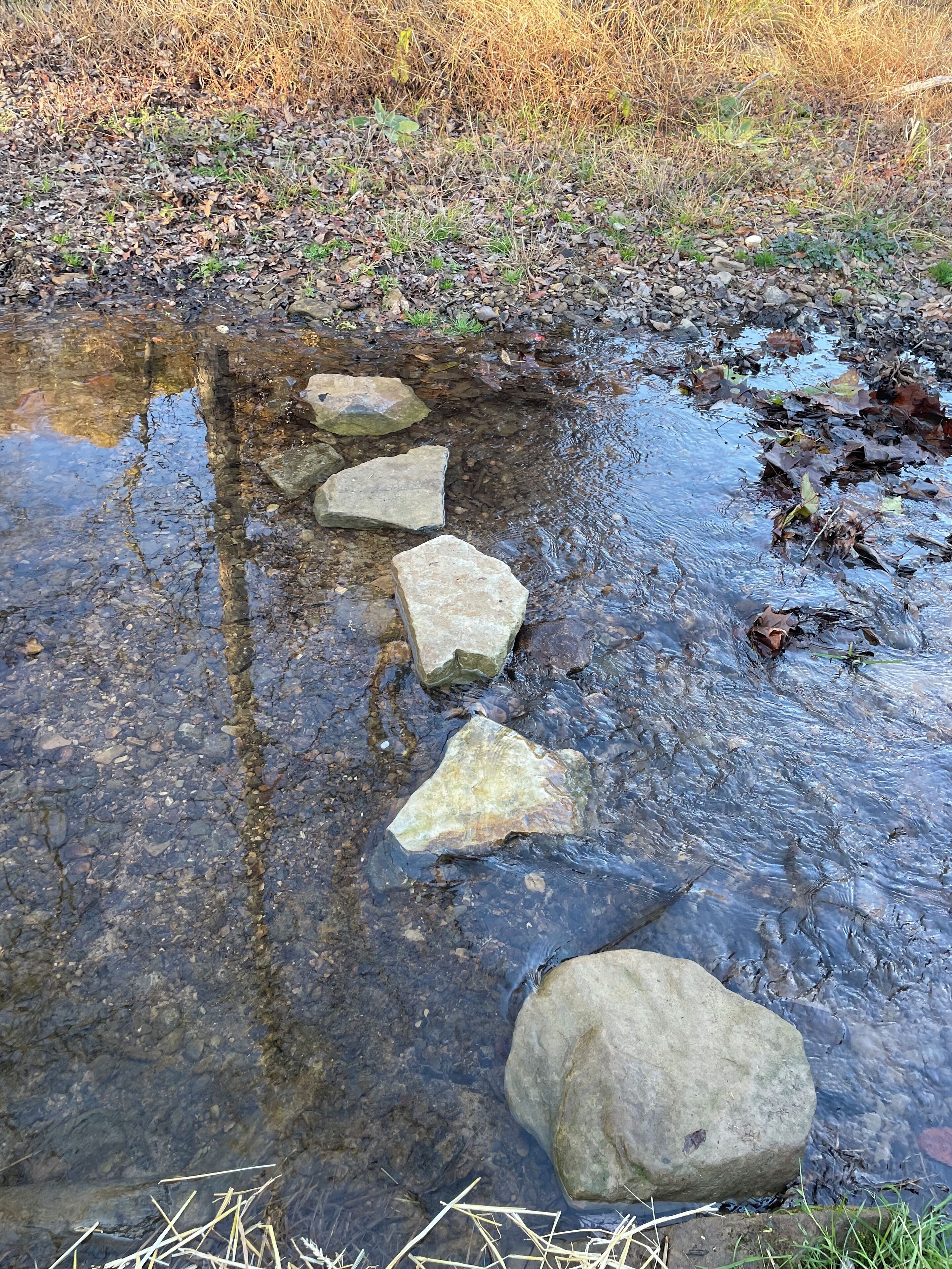 A clear stream with stepping stones across it.