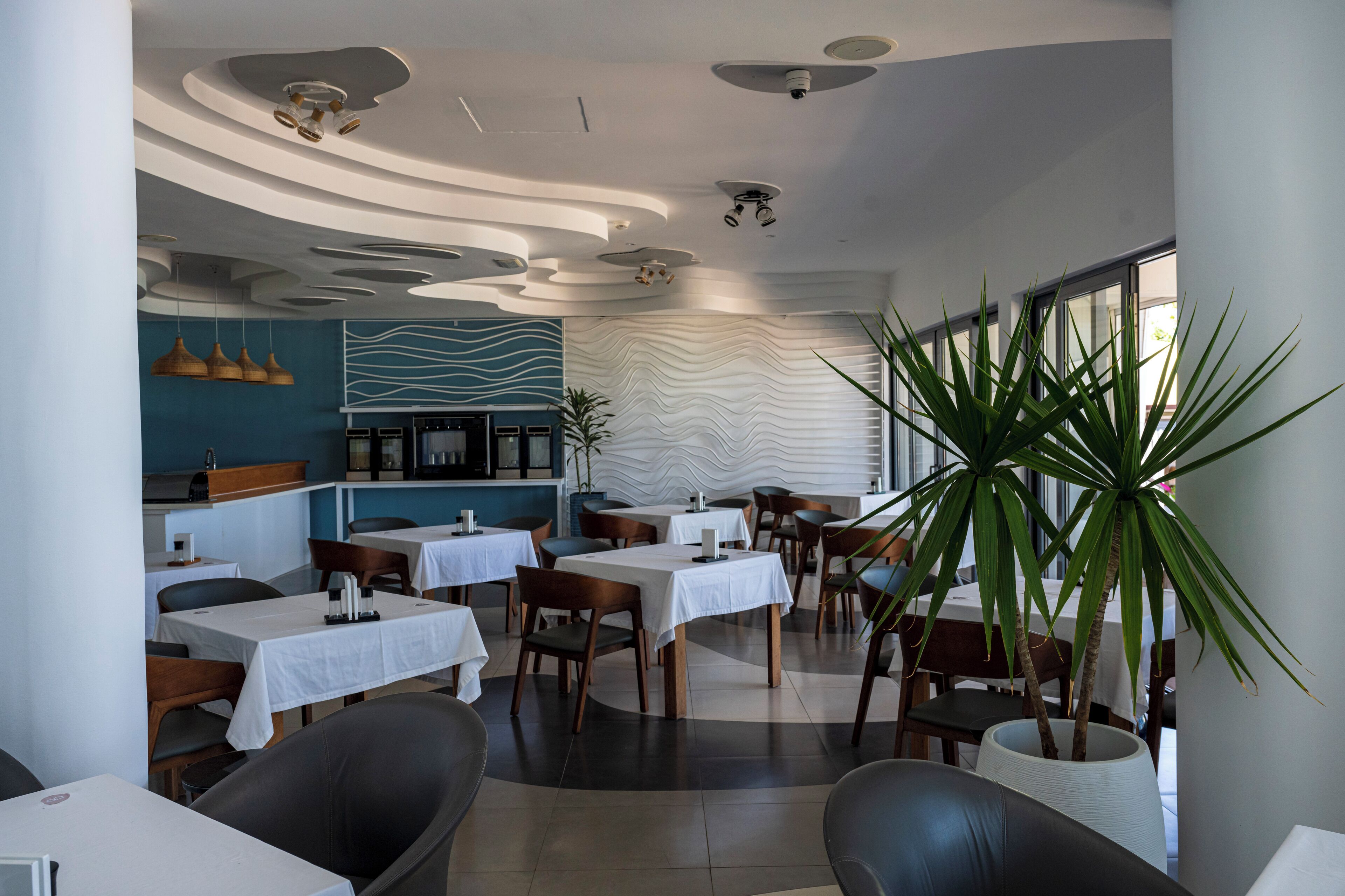 A modern dining area with tables and chairs, a large potted plant, and a unique ceiling design.