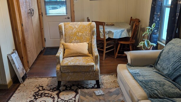 A living room with a patterned armchair, a sofa, a coffee table, and a dining area with a table and chairs.