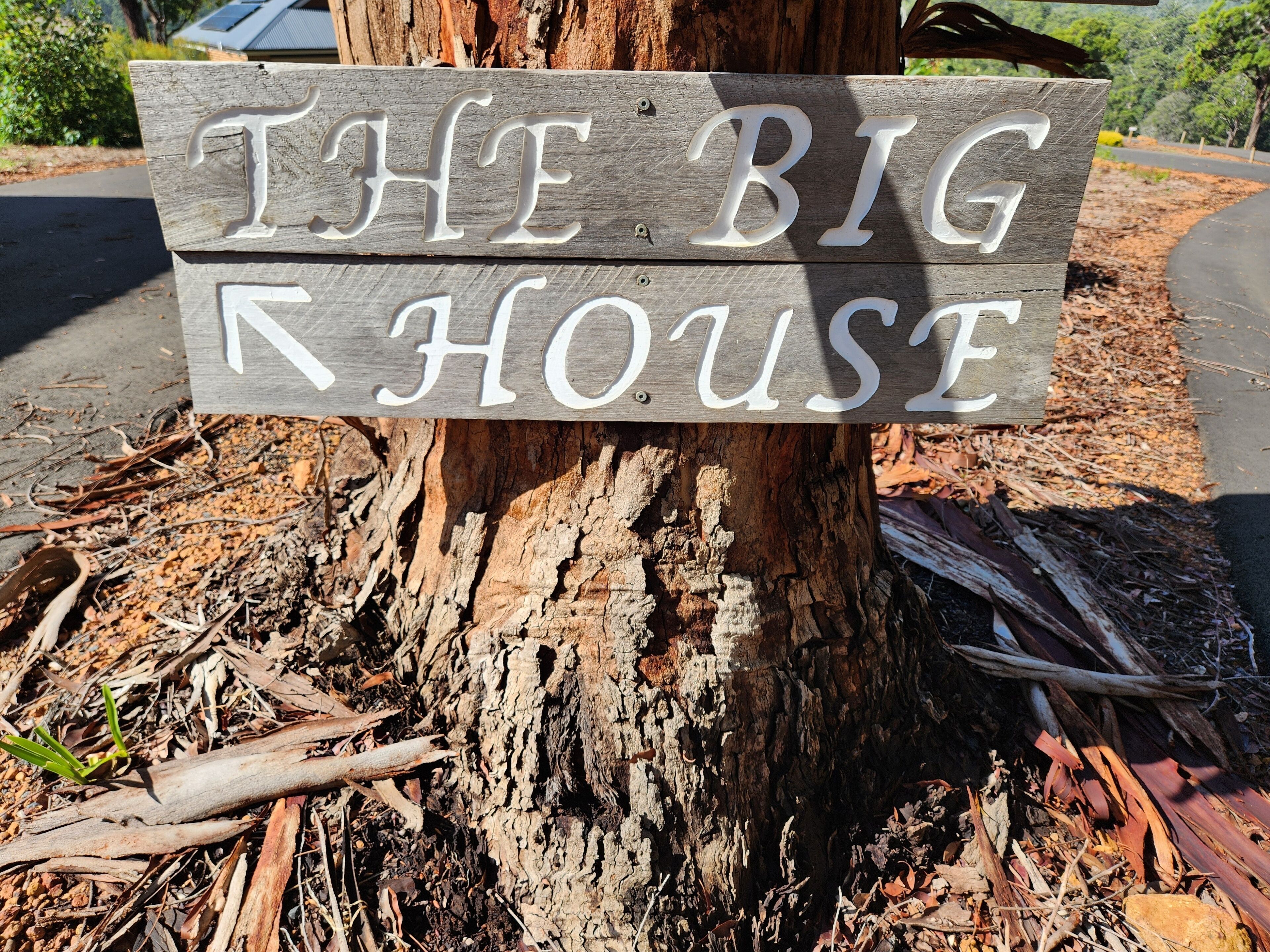 A wooden sign with the text "THE BIG HOUSE" mounted on a tree.