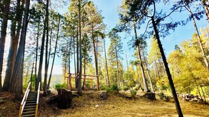 Ein bewaldetes Gebiet mit einer hölzernen Konstruktion, möglicherweise eine Terrasse oder Plattform, umgeben von hohen Bäumen und einer grasbewachsenen Fläche.