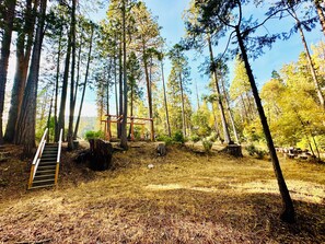 منطقة الأطفال