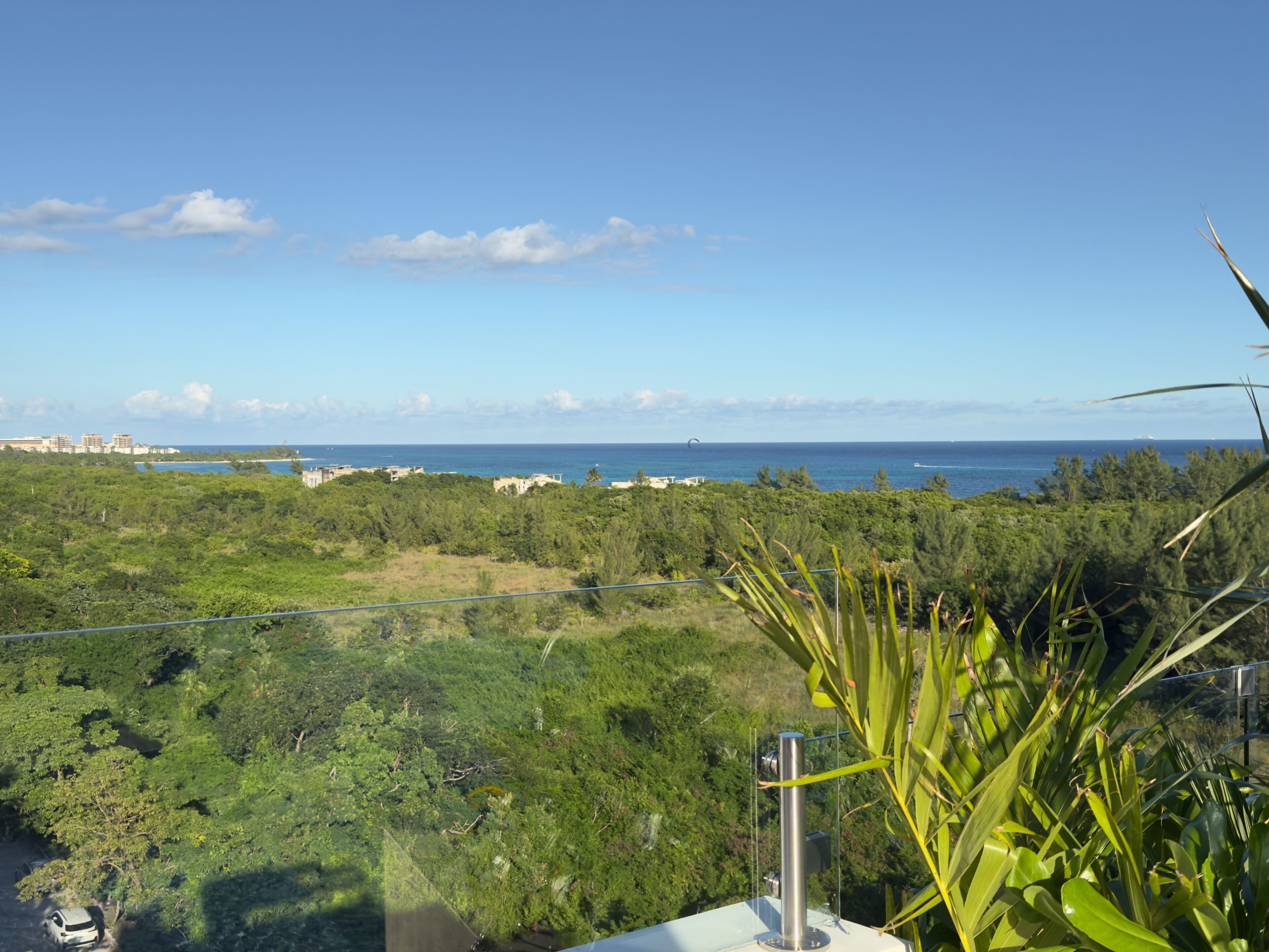 Vista desde un balcón sobre un paisaje verde exuberante, una masa de agua y edificios al fondo.