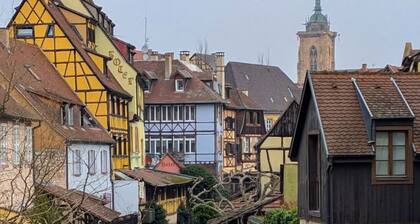 "Au vieux porche de Colmar", in the heart of Alsace and in the city center