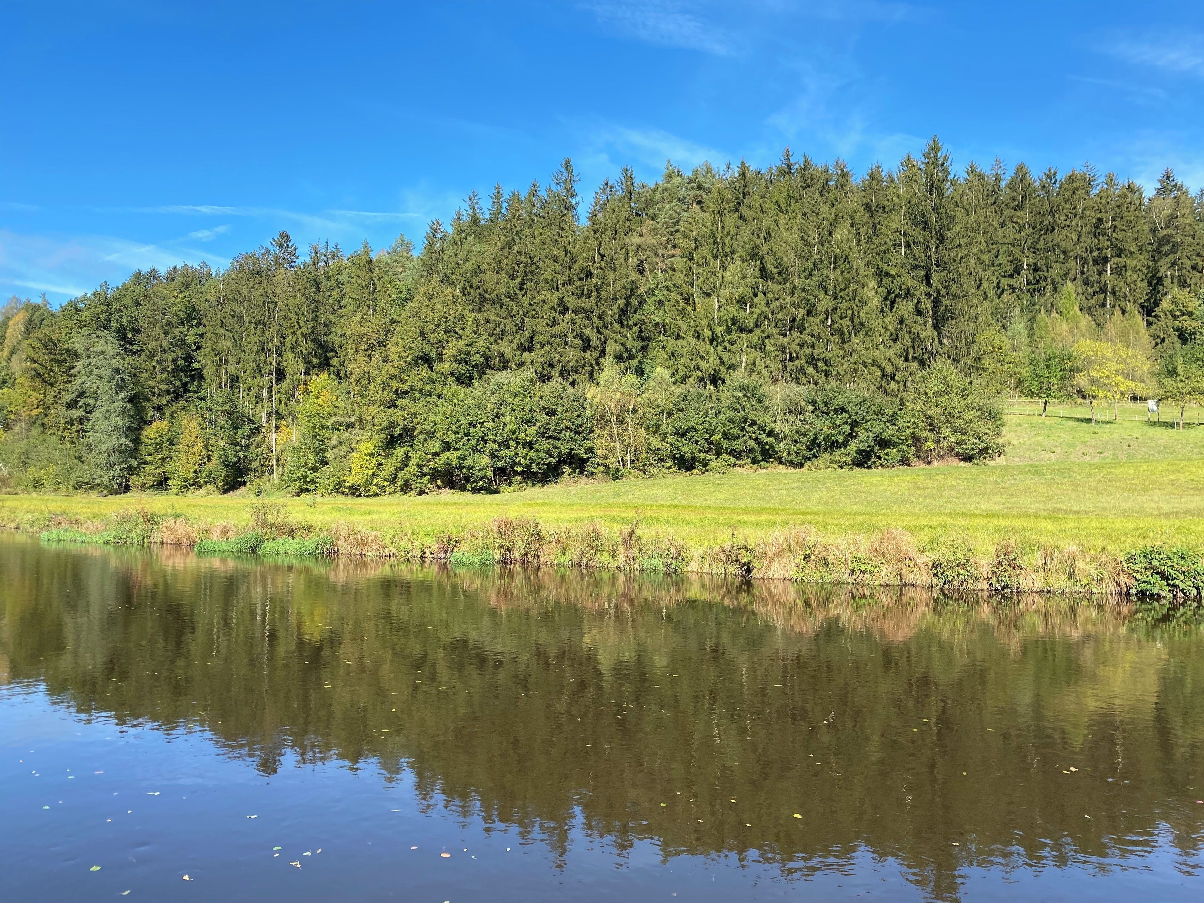 A serene lake with a dense forest in the background and a grassy area in the foreground.