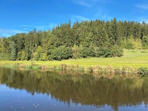 A serene lake with a dense forest in the background and a grassy area in the foreground. - Complete Apartment With own Balcony (Vohenstrauss)