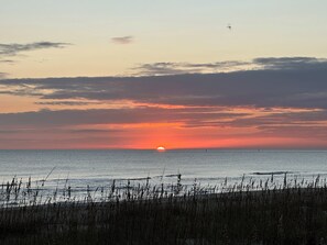 Chaises longues, serviettes de plage