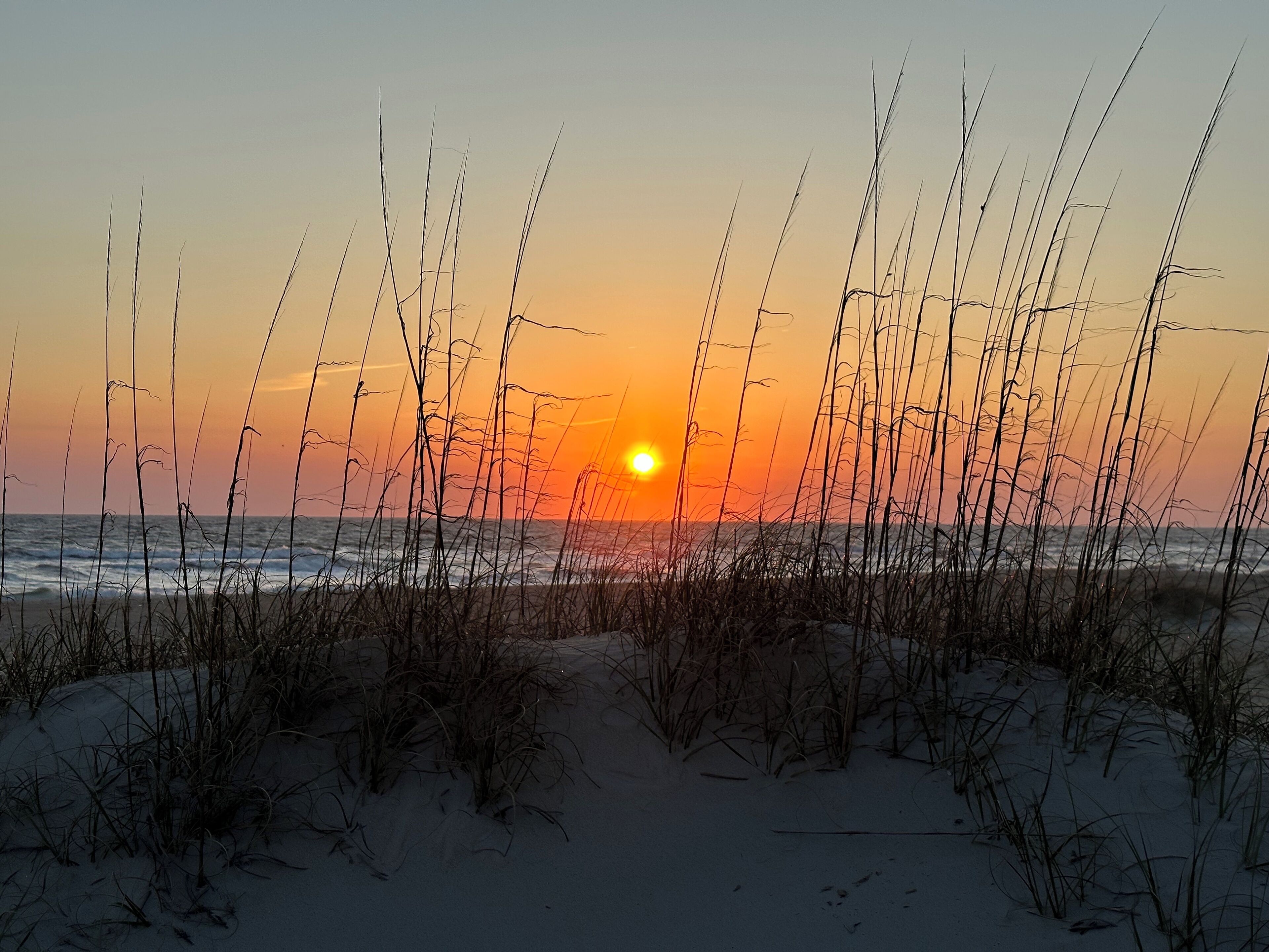 Sun loungers, beach towels