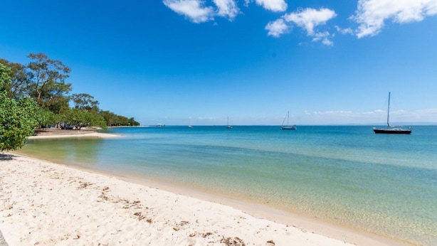 A beach with clear water, a sandy shore, and sailboats in the distance. - Sheridan by the Seashore (BONGAREE)